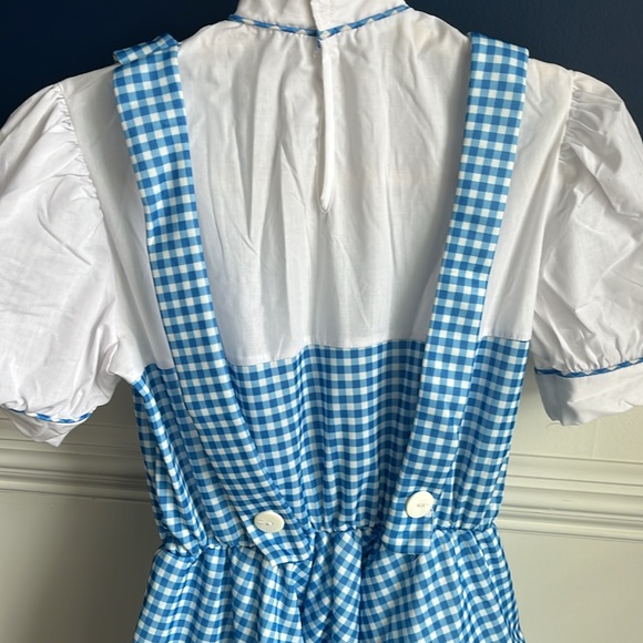 Oh Dorothy! 🌪️ 🏠🐕‍🦺 Dress and Ruby Slippers - Picture 3 of 9